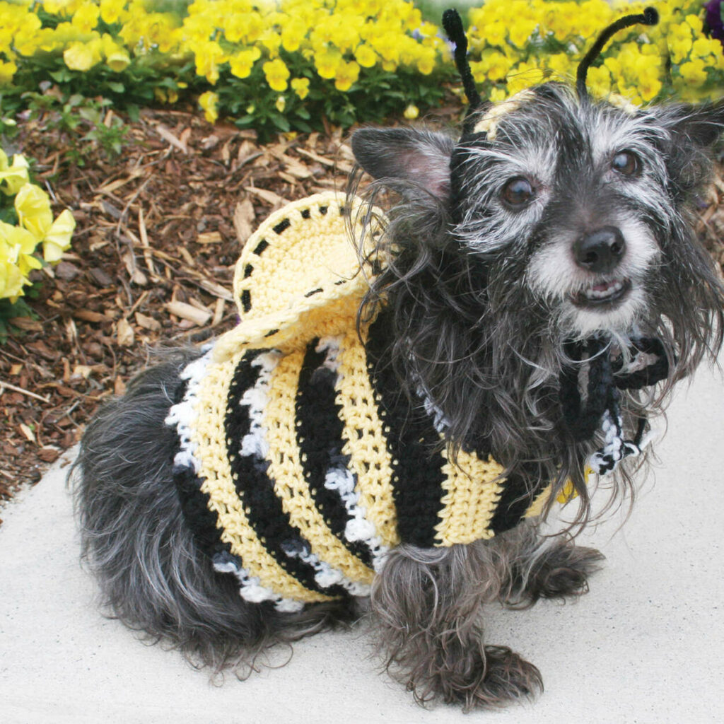 Dog Bumble Bee Crochet Costume 